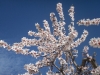 PICT0215 [640x480]